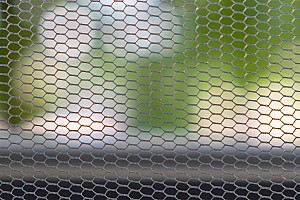 insektenschutz 205403998